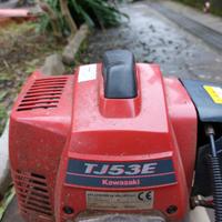 Decespugliatore professionale con asta Maori 