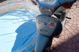 free piaggio