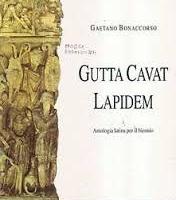 Gutta cavat lapidem, Gaetano Bonaccorso