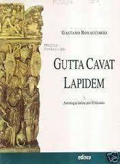 Gutta cavat lapidem, Gaetano Bonaccorso