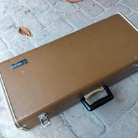 sax alto swalow 
