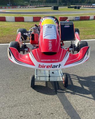 GO KART COMPLETO BIREL TM KZ R1