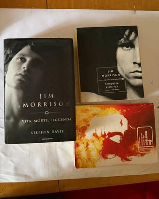 Lotto 3 libri Jim Morrison
