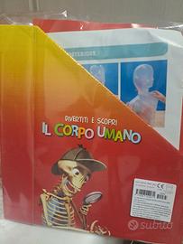 corpo umano