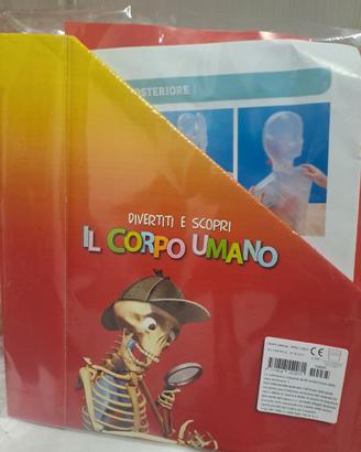 corpo umano