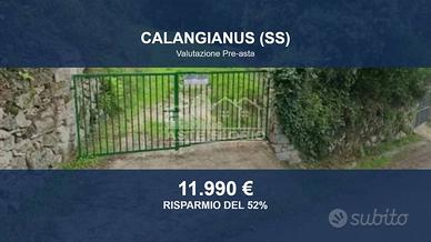 Immobile in asta di 768 m² a Calangianus
