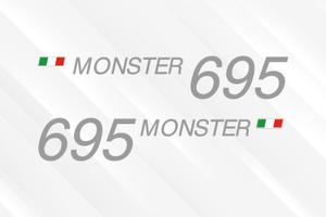 ADESIVI DUCATI MONSTER 695 - ARGENTO e BIANCO
