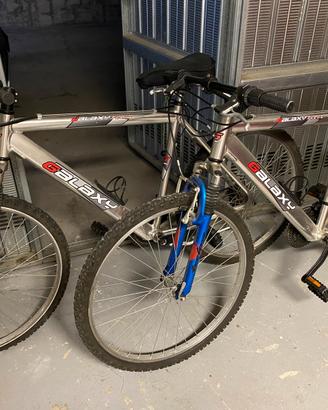 Bicicletta