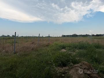 Sistema pali vigneto