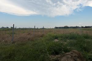 Sistema pali vigneto
