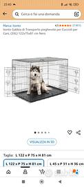 gabbia per cane