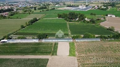 TER. AGRICOLO A GUIDIZZOLO