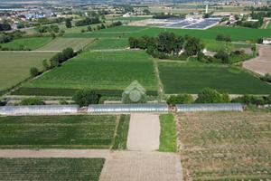 TER. AGRICOLO A GUIDIZZOLO