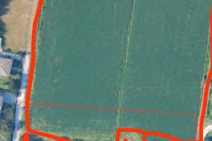 Terreno agricolo 2 ettari