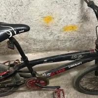 Bicicletta Mountain Bike