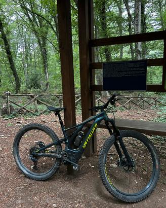 E bike