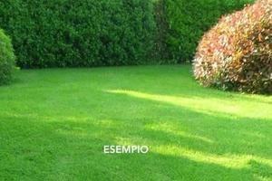 Terreno di 830 m² a Castelnuovo Rangone