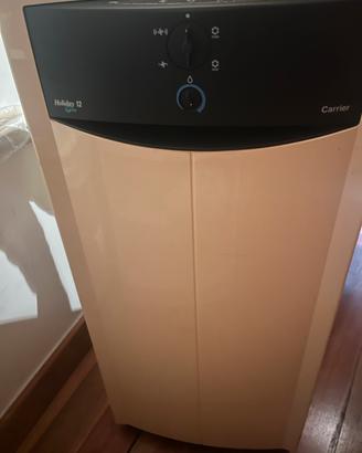 Climatizzatore portatile