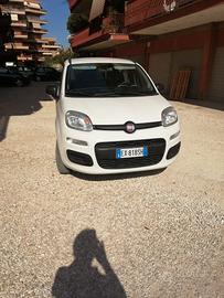 Panda bianca terza serie