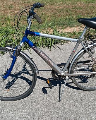 bici da uomo