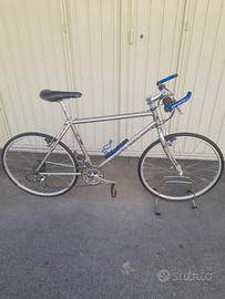 Bicicletta mountain bike