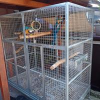 gabbia grande per pappagalli 