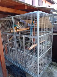 gabbia grande per pappagalli 
