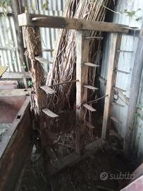 ERPICE ANTICO IN LEGNO DA ESPOSIZIONE