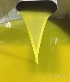 Campagna olearia 25/26