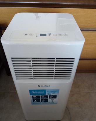 Climatizzatore+ raffrescatore