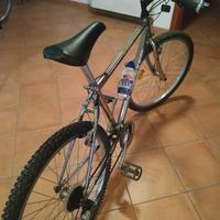 Mountain Bike in alluminio