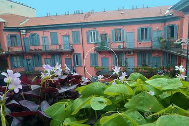 Via Brembo 5, casa di ringhiera di 45 mq