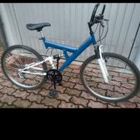 bici rimessa a nuovo