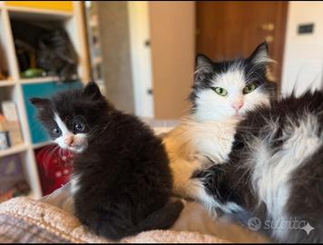 Missi e Coco