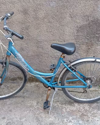 bicicletta 