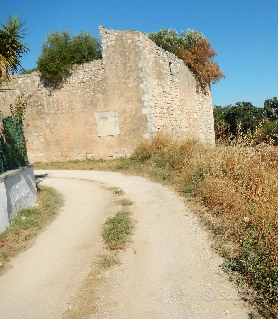 Vendita Casa Rurale + Terreno - Vista 3