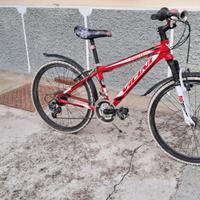 Mountain bike 24''