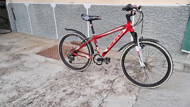 Mountain bike 24''