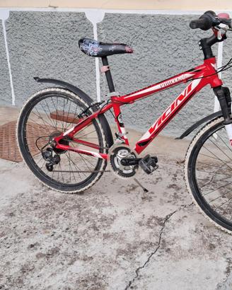 Mountain bike 24''