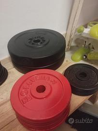 dischi pesi in ghisa e plastica rivestito 