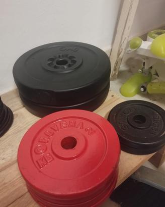 dischi pesi in ghisa e plastica rivestito 