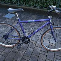 Bici mountainbike
