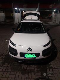 c4 cactus 