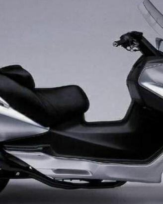 Suzuki Burgman 650-2004