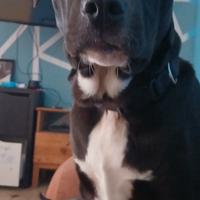 Jack