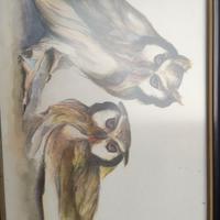 Acquerello di Jorge Borras " Gufi"