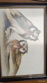 Acquerello di Jorge Borras " Gufi"