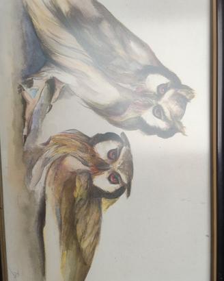 Acquerello di Jorge Borras " Gufi"