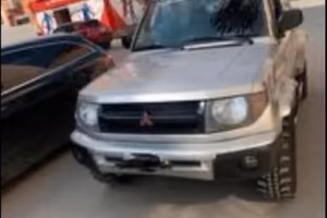 Pajero pinin