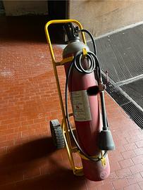 Estintore carrellato a co2 kg 27